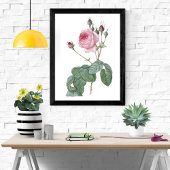 Elegantes Vintages rosa rosa rosa Botanisches Art  Poster