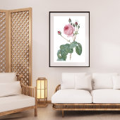 Elegantes Vintages rosa rosa rosa Botanisches Art  Poster