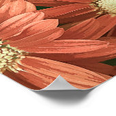 Elegantes Vintages Rosa Sonnenblumen Akrylkisches Poster (Ecke)