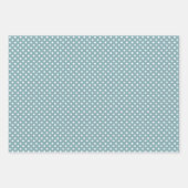 Elegantes Wasser Boho Cactus & Succulents Geschenkpapier Set (Vorderseite 2)