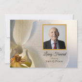 Elegantes Weiß-Orchid Blume Beerdigung Party Einladung (Vorderseite)