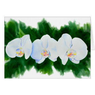 Elegantes, weißes Aquarell-Orchideenbild
