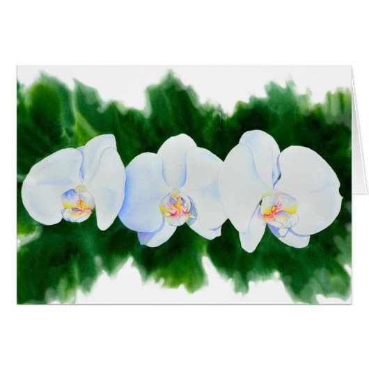 Elegantes, weißes Aquarell-Orchideenbild (Vorderseite (Horizontal))