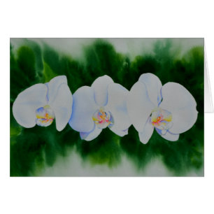 Elegantes, weißes Aquarell-Orchideenbild