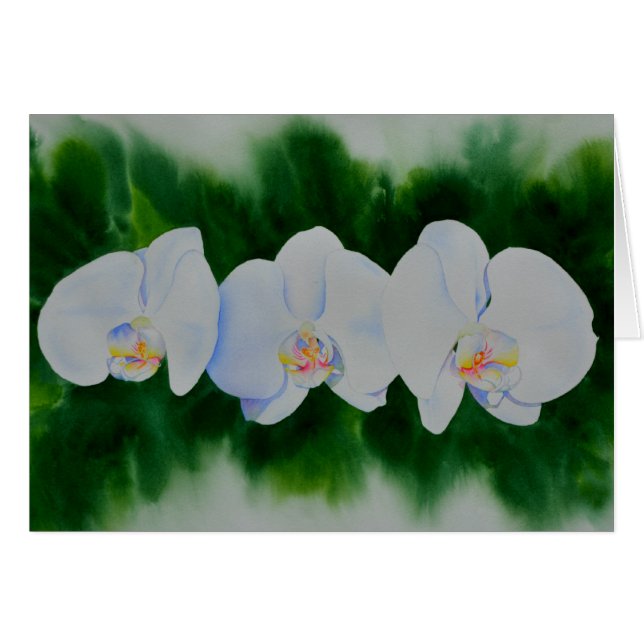 Elegantes, weißes Aquarell-Orchideenbild (Vorderseite (Horizontal))