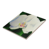 Elegantes, weißes Aquarell-Orchideenbild Fliese (Seite)