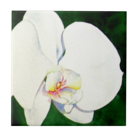 Elegantes, weißes Aquarell-Orchideenbild Fliese (Vorderseite)