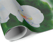 Elegantes, weißes Aquarell-Orchideenbild Geschenkpapier (Rolleneckpunkt)