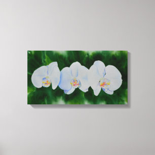 Elegantes, weißes Aquarell-Orchideenbild Leinwanddruck