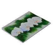 Elegantes, weißes Aquarell-Orchideenbild Notizblock (Linke Seite)