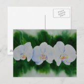 Elegantes, weißes Aquarell-Orchideenbild Postkarte (Vorne/Hinten)