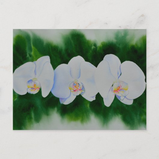 Elegantes, weißes Aquarell-Orchideenbild Postkarte (Vorderseite)