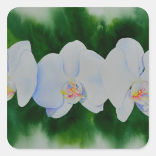 Elegantes, weißes Aquarell-Orchideenbild Quadratischer Aufkleber