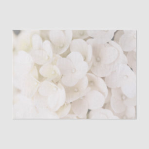 Elegantes Weißes Blume-Blätterteig Seidenpapier