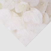 Elegantes Weißes Blume-Blätterteig Seidenpapier (Ausschnitt)