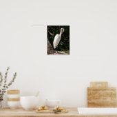 Elegantes Weißes Egret Vogel Poster (Küche)