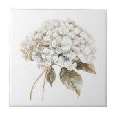 Elegantes weißes Elfenbeinhydrangea - französische Fliese (Vorderseite)