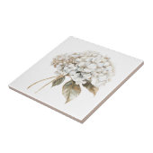 Elegantes weißes Elfenbeinhydrangea - französische Fliese (Seite)