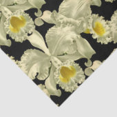 Elegantes weißes Orchid-Muster auf schwarzem Hinte Seidenpapier (Ausschnitt)