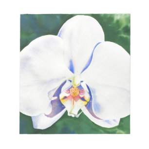 Elegantes weißes Orchideengemälde Notizblock