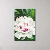 Elegantes weißes Peony mit rosafarbener, bläserner Leinwanddruck (Vorderseite)