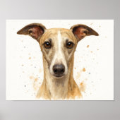 Elegantes Whippet Poster (Vorne)