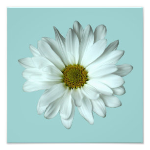 Elegantes White Daisy Foto Print