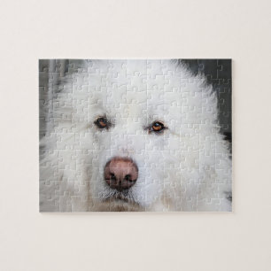 Elegantes White Great Pyrenäen Dog Puzzle