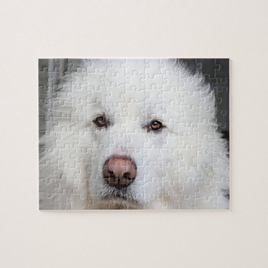 Elegantes White Great Pyrenäen Dog Puzzle (Horizontal)