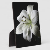 Elegantes White Lily Foto Plaque Fotoplatte (Seite)