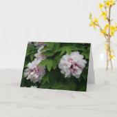 Elegantes White Peonies Blume Foto Beileid Karte (Gelbe Blume)