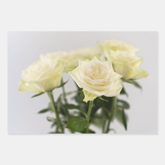 Elegantes White Roses Zeitloses Blume Foto Geschenkpapier Set (Vorderseite 2)