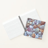 Elegantes White Seashells Artwork | Notebook Notizblock (Innenseite)