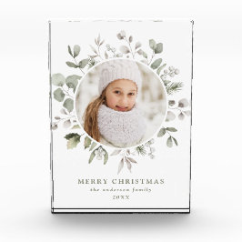 Elegantes Winter Foliage und Snowberries Foto