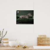Elegantes Zebra auf grünem Veloursofa Poster (Küche)
