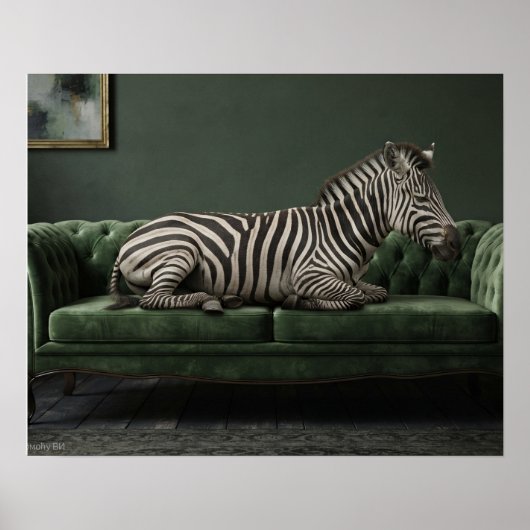 Elegantes Zebra auf grünem Veloursofa Poster (Vorne)