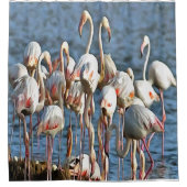 Eleganz des rosa Flamingos Duschvorhang (Vorderseite)