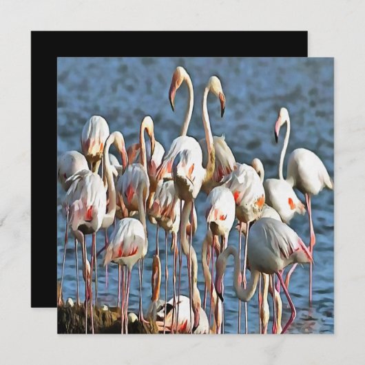 Eleganz des rosa Flamingos Einladung (Vorne/Hinten)
