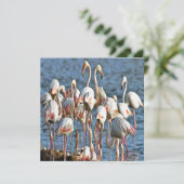 Eleganz des rosa Flamingos Einladung (Stehend Vorderseite)