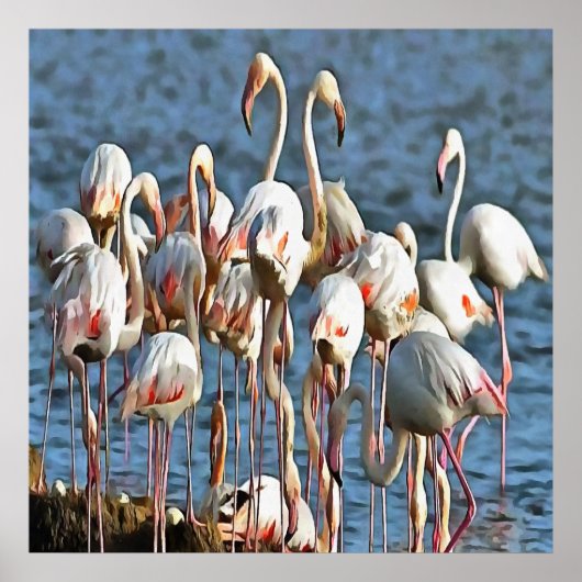 Eleganz des rosa Flamingos Poster (Vorne)