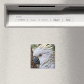 Eleganz in Weiß: Das majestätische Aussie Cockatoo Magnet (In Situ (Geschirrspüler))
