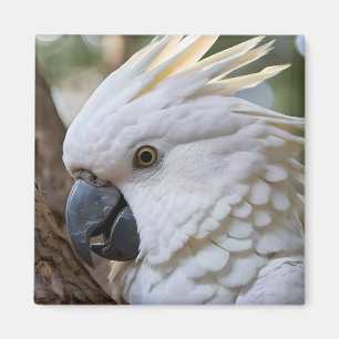Eleganz in Weiß: Das majestätische Aussie Cockatoo Magnet