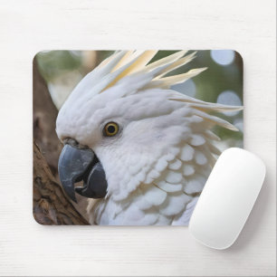 Eleganz in Weiß: Das majestätische Aussie Cockatoo Mousepad