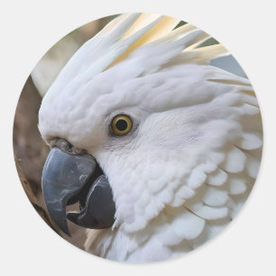 Eleganz in Weiß: Das majestätische Aussie Cockatoo Runder Aufkleber