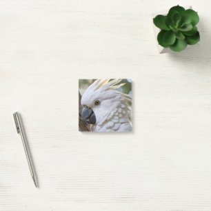 Eleganz in Weiß: Der majestätische australische Ka Post-it Klebezettel