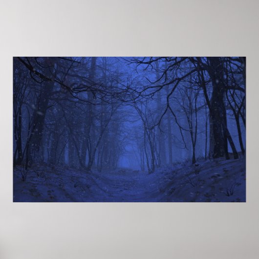Elegy (Winter/Nacht) Poster (Vorne)