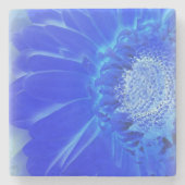 elektrisch blaue Gerbera Steinuntersetzer (Vorderseite)