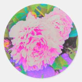 Elektrisch-rosa-Peonies im farbenfrohen Garten Runder Aufkleber