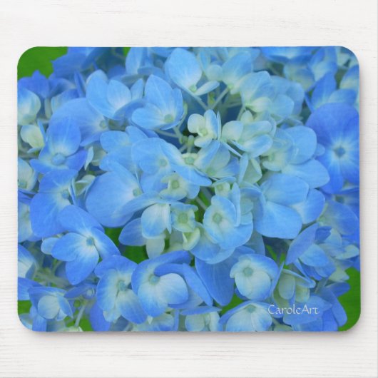 Elektrische blaue Hydrangeas Mousepad (Vorne)