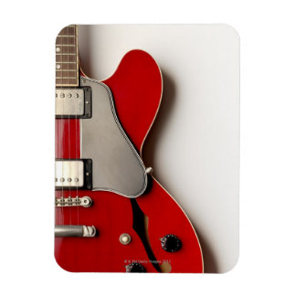 Elektrische Gitarre 12 Magnet